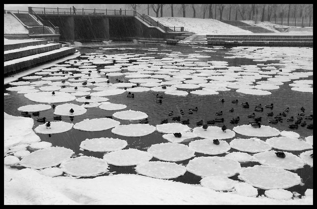 фото "Ледяной хоровод" метки: пейзаж, природа, вода