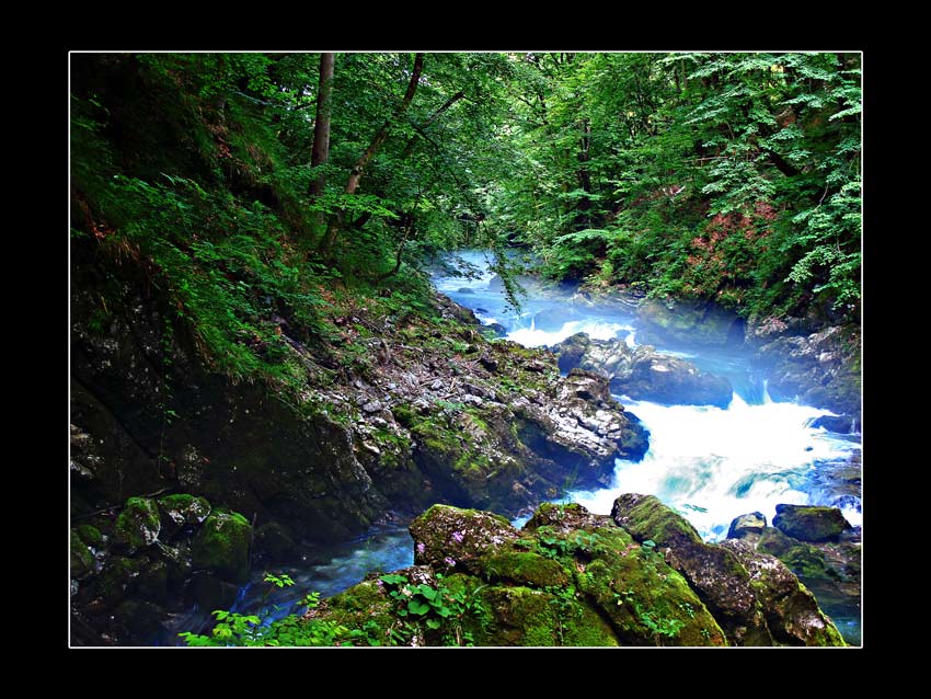 photo "Vintgar" tags: landscape, travel, Europe, forest