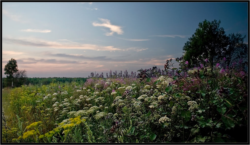 photo "***" tags: landscape, summer