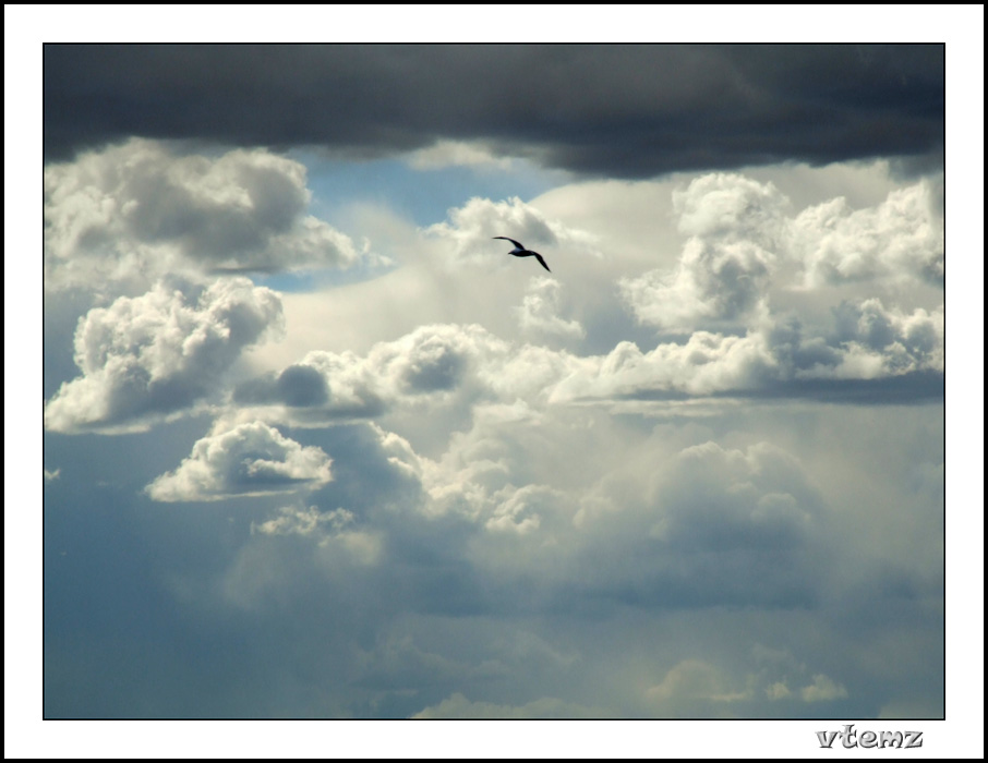 photo "Untitled" tags: landscape, clouds