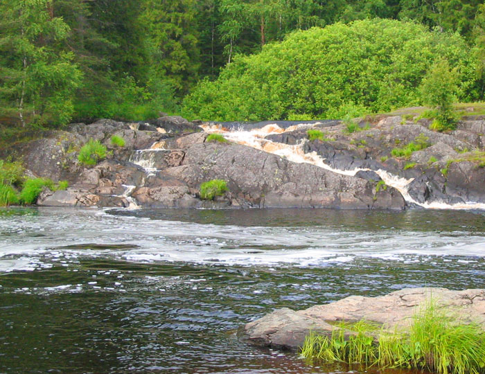 photo "forest spring" tags: landscape, forest, water