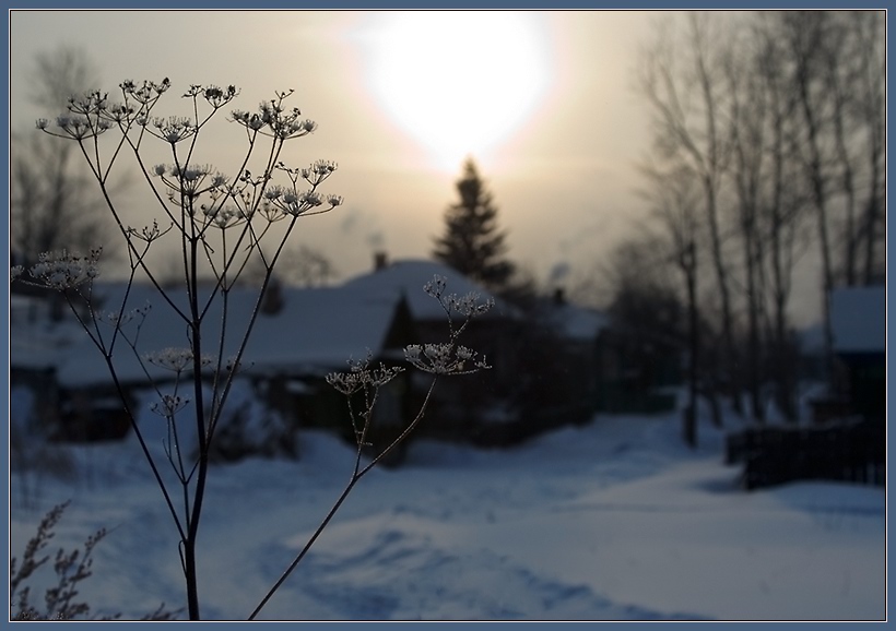 photo "postcard to Cristmas" tags: landscape, winter