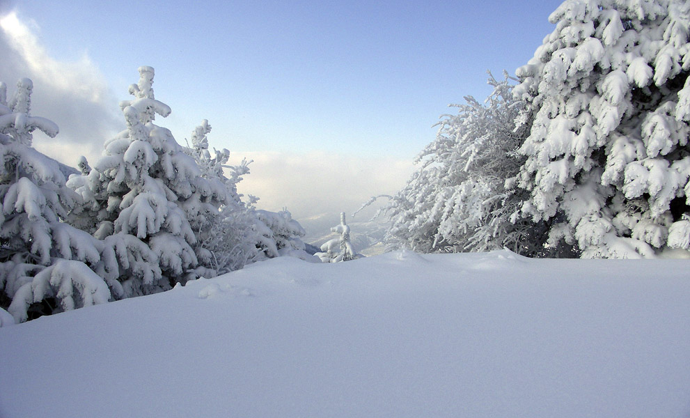 photo "***" tags: landscape, nature, winter