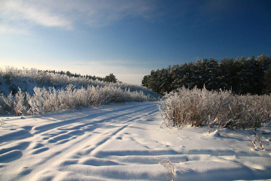 photo "***" tags: landscape, forest, winter