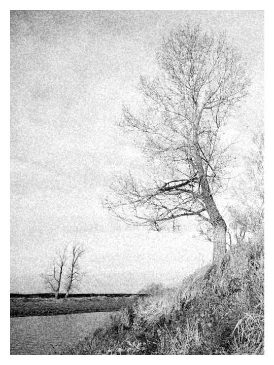 photo "Black & white landscape with a tree in the sky" tags: landscape, black&white, 