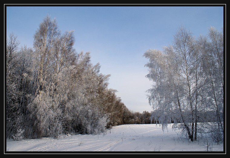 фото "* * *" метки: пейзаж, зима, лес