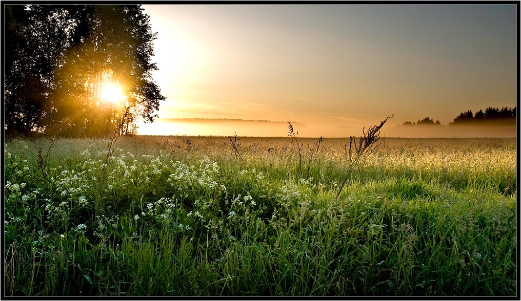 фото "Утренний луг" метки: пейзаж, закат