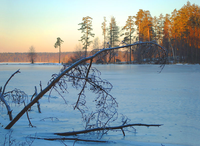 фото "Зимний день" метки: пейзаж, зима, лес