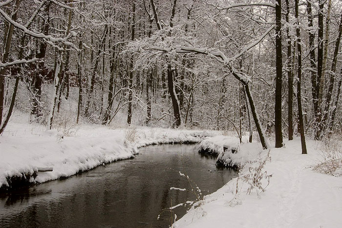 photo "***" tags: landscape, winter