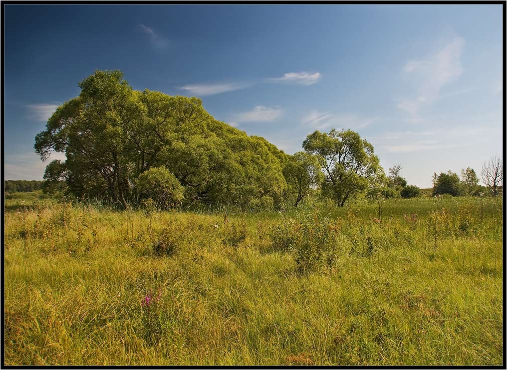 photo "green hills" tags: landscape, summer