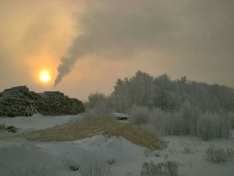 photo "***" tags: landscape, forest, winter