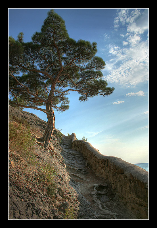 photo "Path" tags: landscape, 