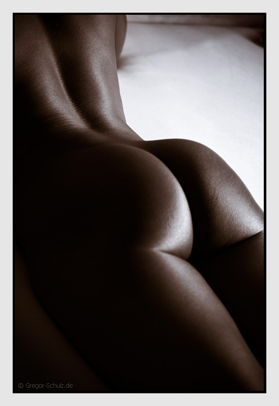 photo "soft but strong back" tags: nude, 