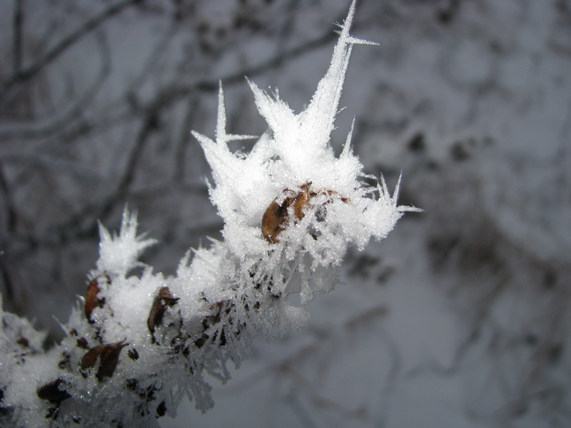 photo "***" tags: landscape, winter