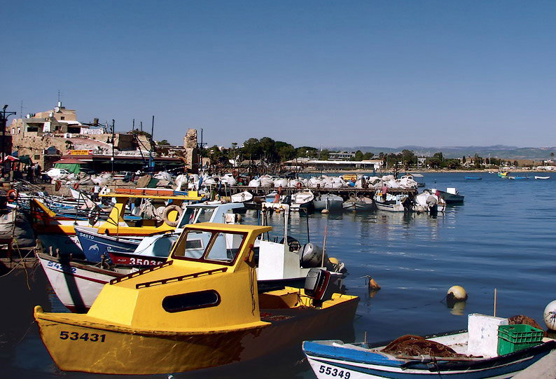 photo "All kinds of boats" tags: landscape, travel, water