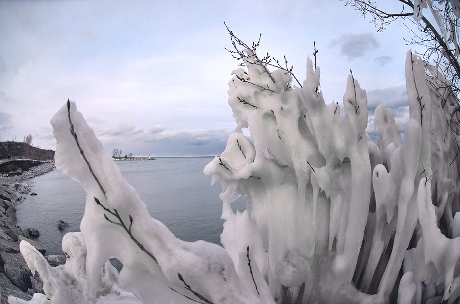 фото "Frosen life" метки: пейзаж, зима