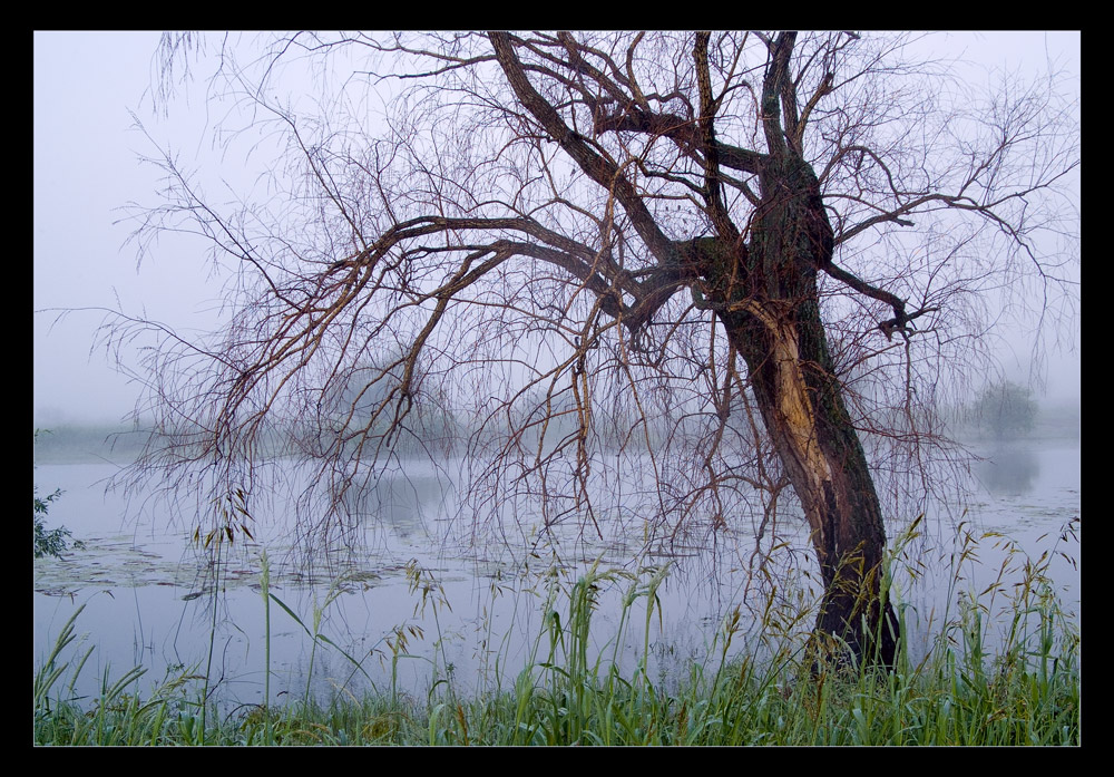 photo "***" tags: landscape, summer