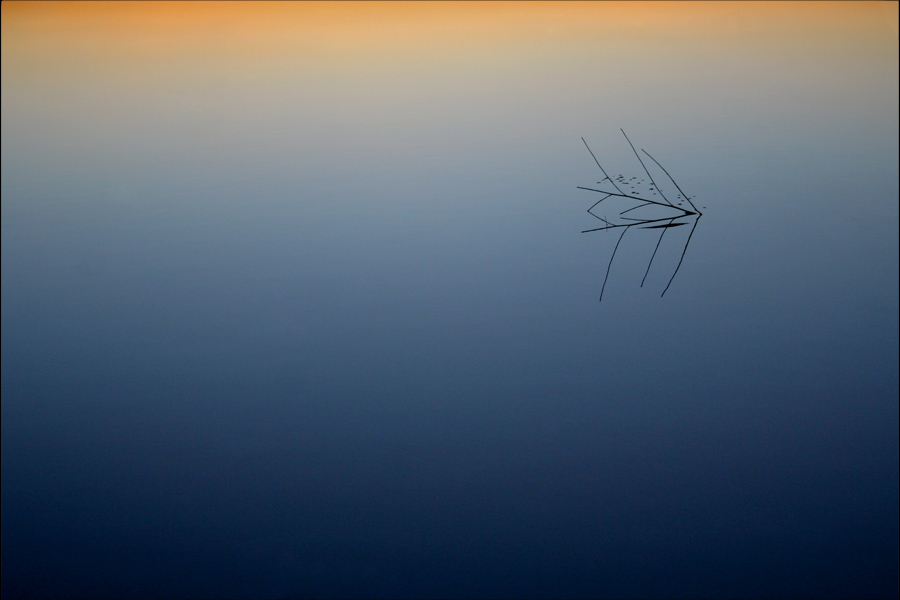 фото "The shortest straw" метки: абстракция, пейзаж, вода