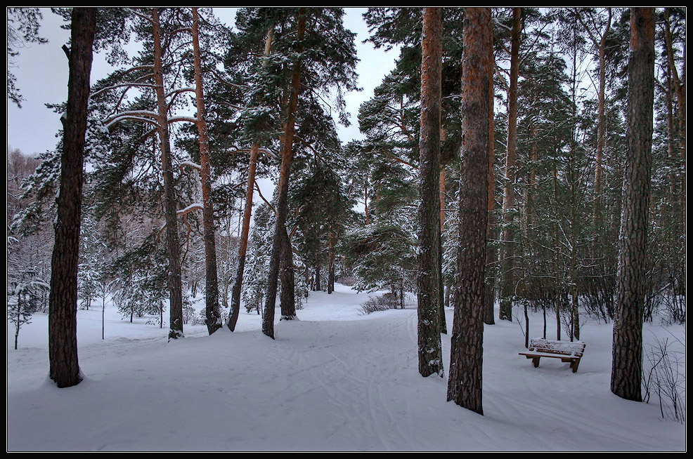 photo "After Snowfall" tags: , 