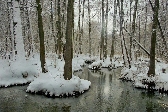 photo "***" tags: landscape, water, winter