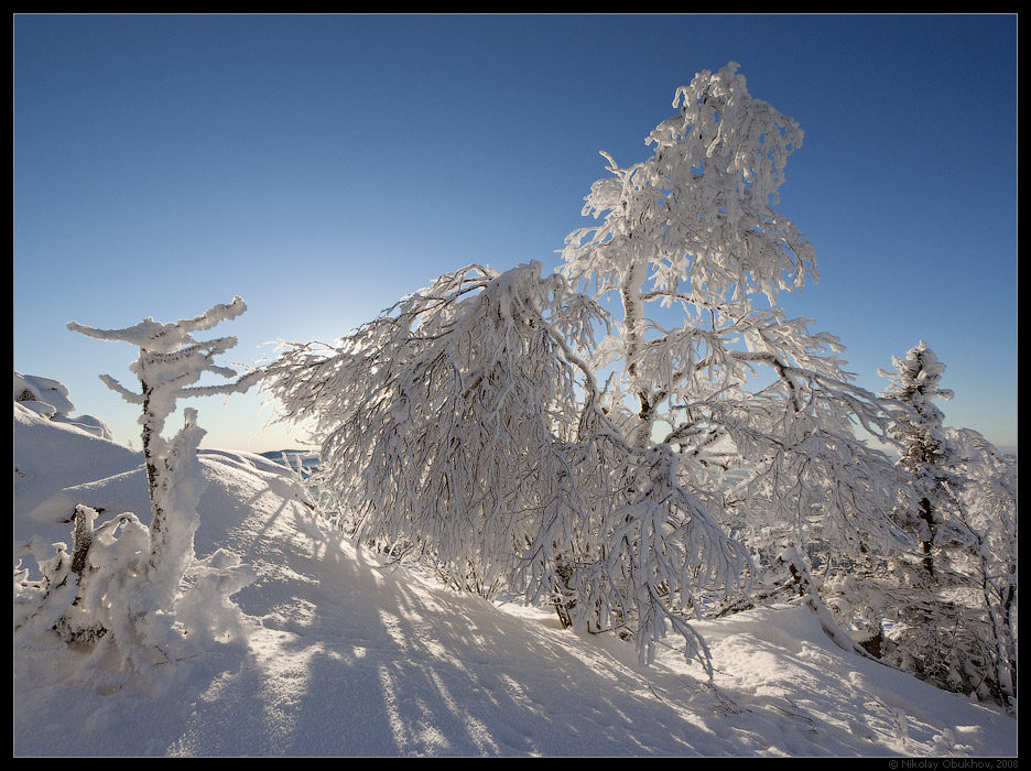 photo "Curtsy / 0184_0065" tags: landscape, forest, winter