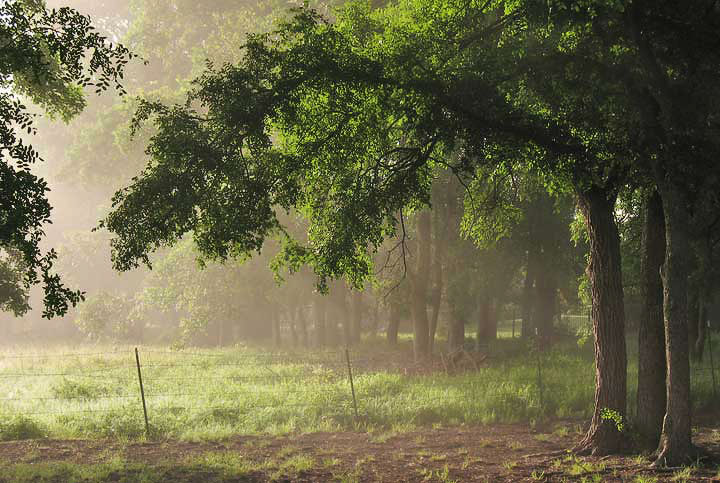 photo "***" tags: landscape, summer