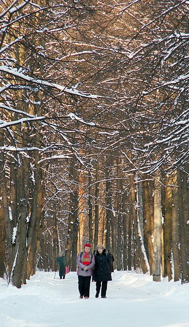 photo "***" tags: landscape, forest, winter