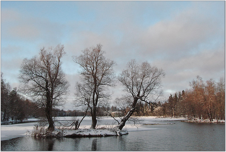 photo "The park 1" tags: landscape, winter