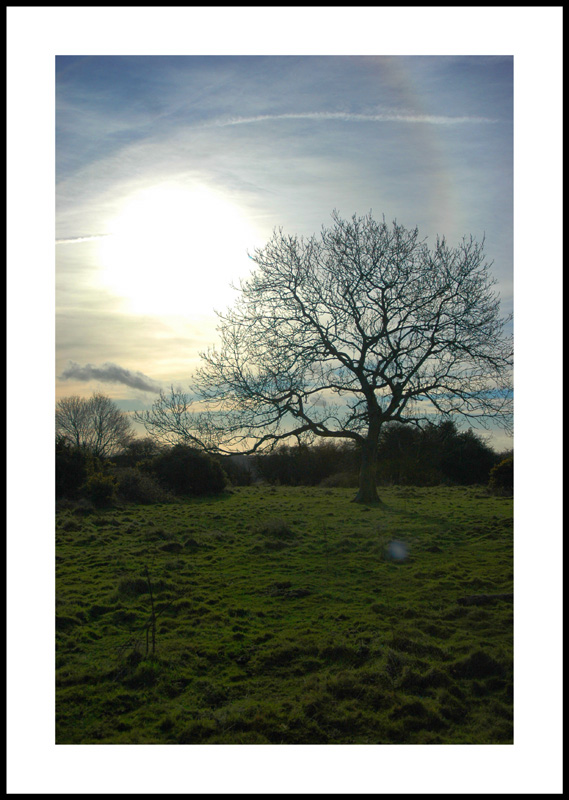photo "Life is beautiful" tags: landscape, winter