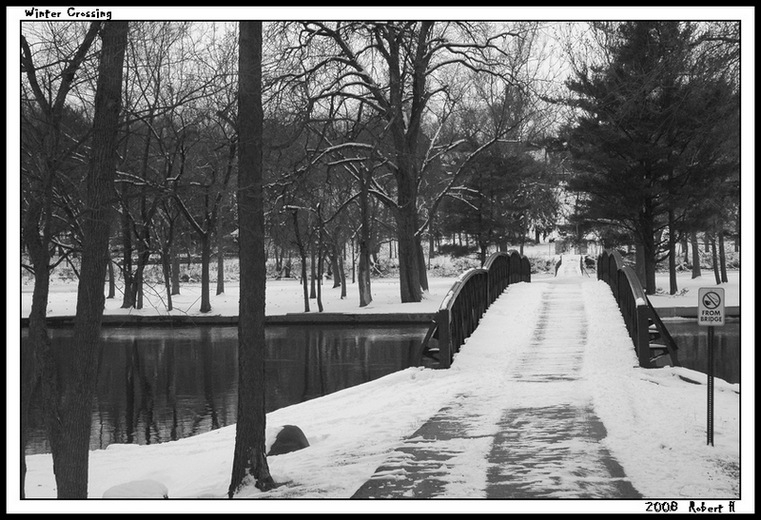 фото "Winter Crossing" метки: пейзаж, черно-белые, зима