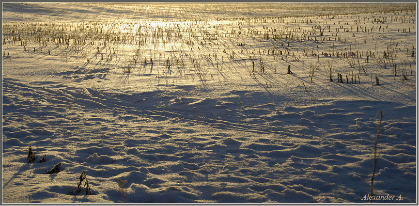 фото "Холодное утро 2008-го" метки: пейзаж, зима