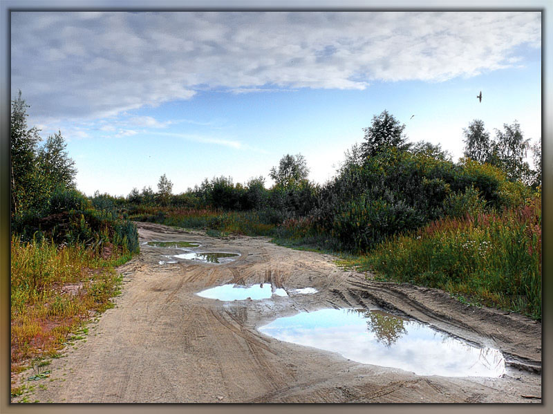 фото "После дождя" метки: пейзаж, лето