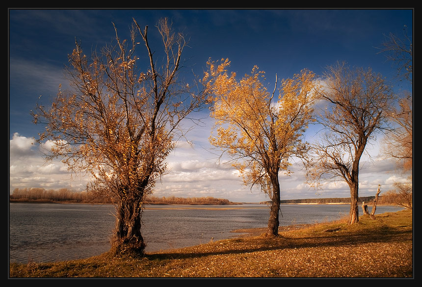 photo "Three and a half" tags: landscape, autumn