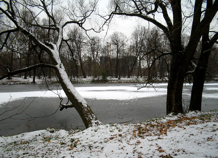 photo "The First Snow" tags: landscape, winter