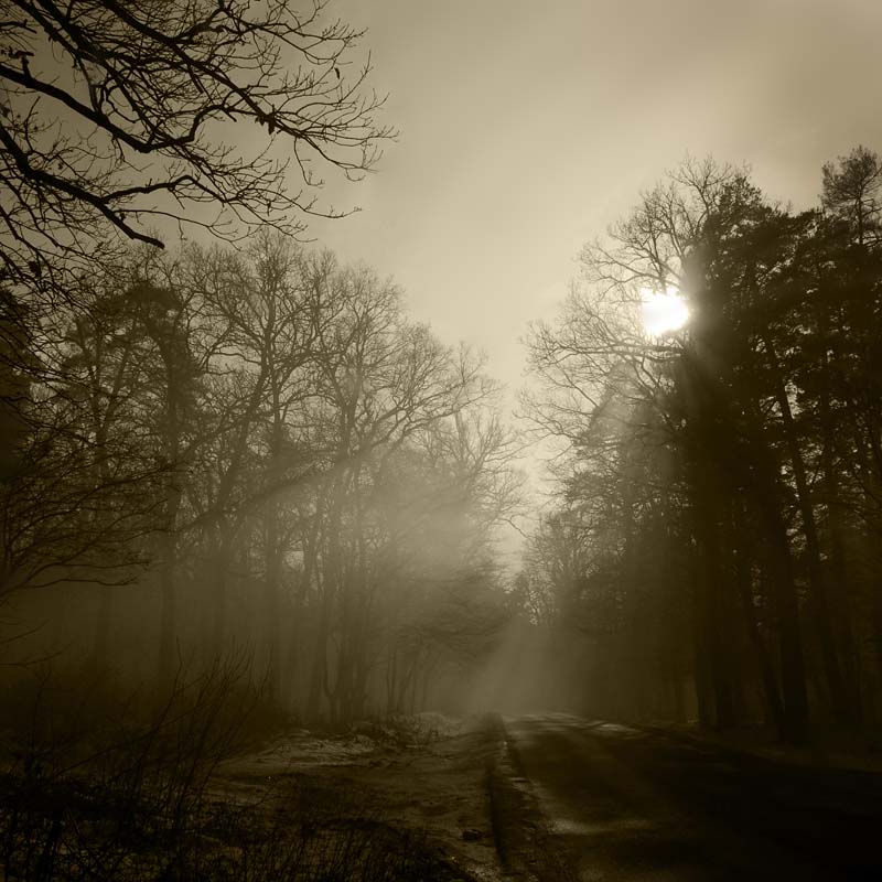 photo "***" tags: black&white, landscape, autumn