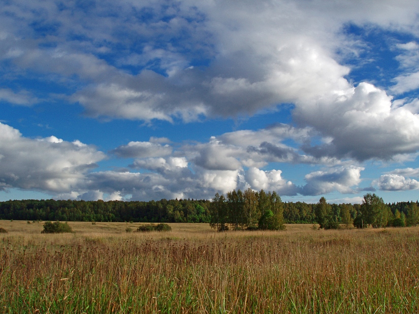 photo "***" tags: landscape, clouds, summer