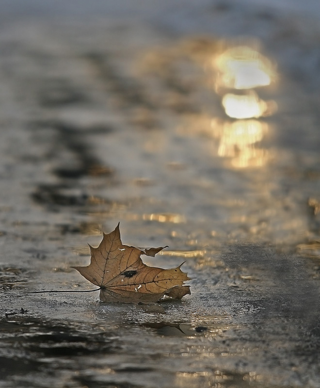 photo "***" tags: landscape, autumn