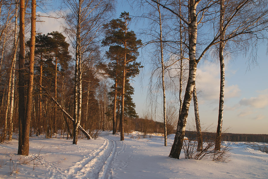 photo "***" tags: landscape, forest, winter