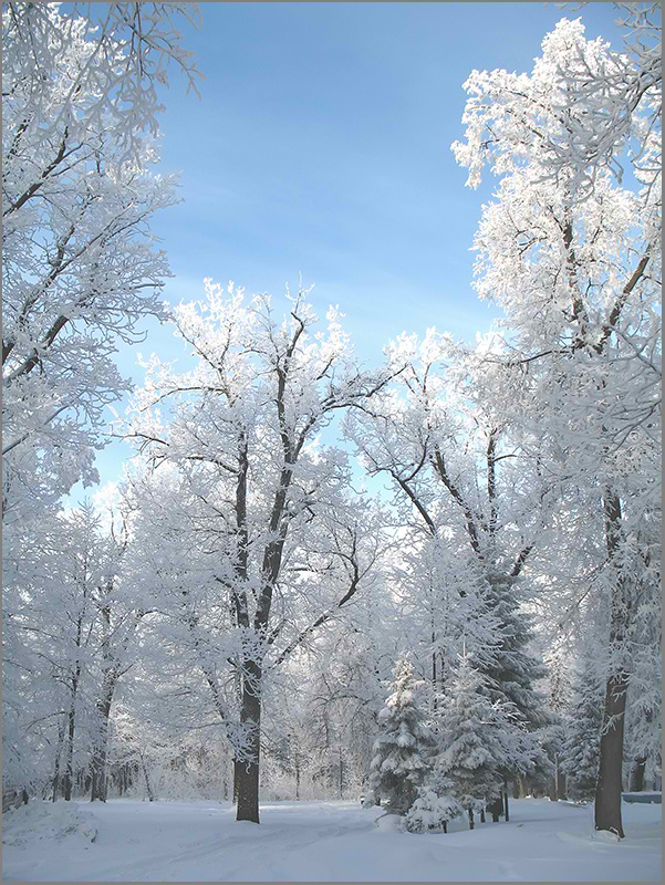 photo "***" tags: landscape, winter