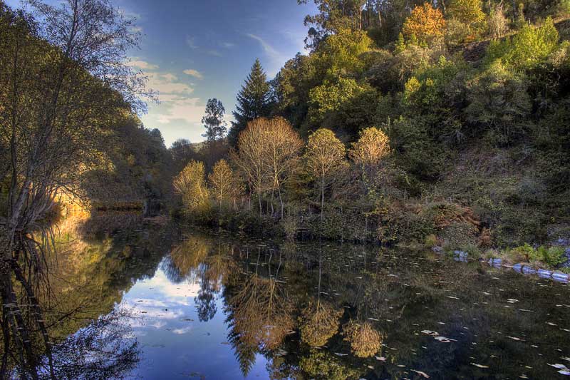 photo "***" tags: landscape, travel, Europe, forest