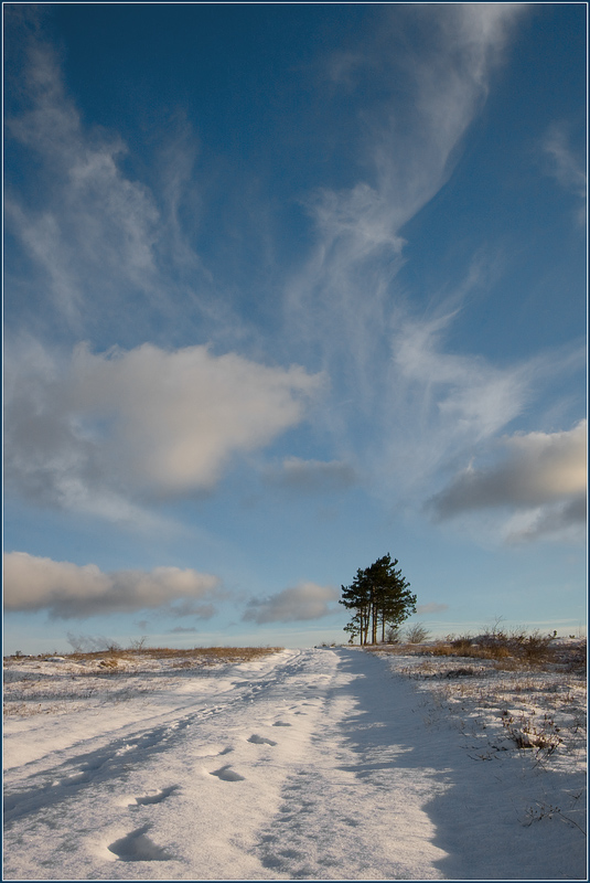 photo "***" tags: landscape, winter