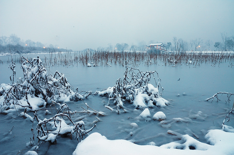 photo "Snowy lake" tags: travel, landscape, Asia, winter