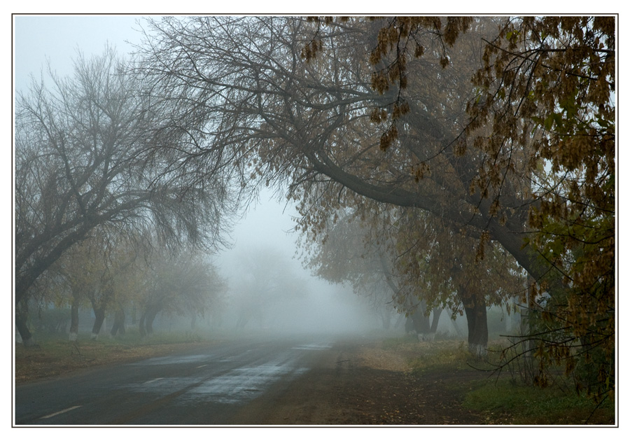 фото "Арка" метки: город, пейзаж, осень