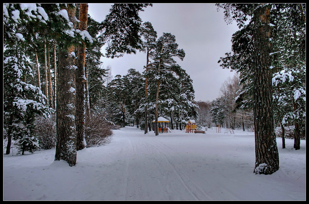 photo ")))" tags: landscape, forest, winter