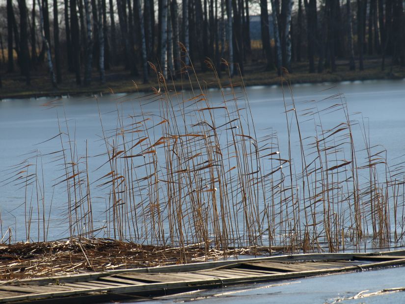 photo "***" tags: landscape, water