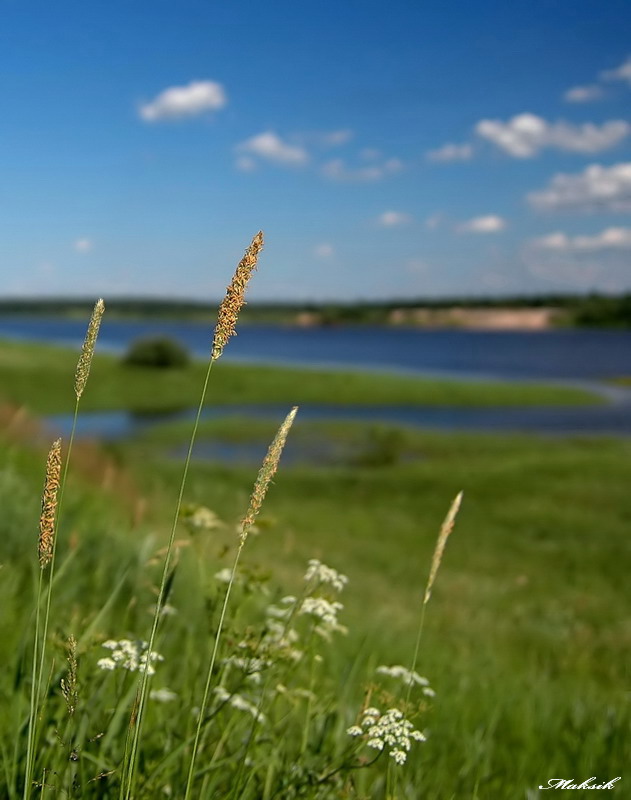 photo "***" tags: landscape, summer