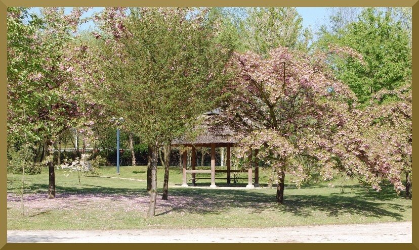 photo "Japanese garden" tags: landscape, spring