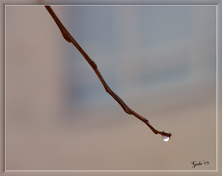 photo "The loneliness" tags: macro and close-up, landscape, autumn