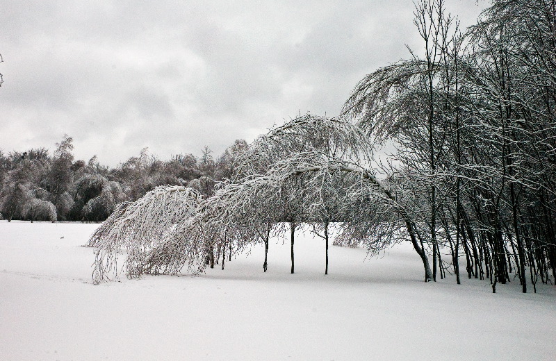 фото "Ice Storm" метки: пейзаж, зима