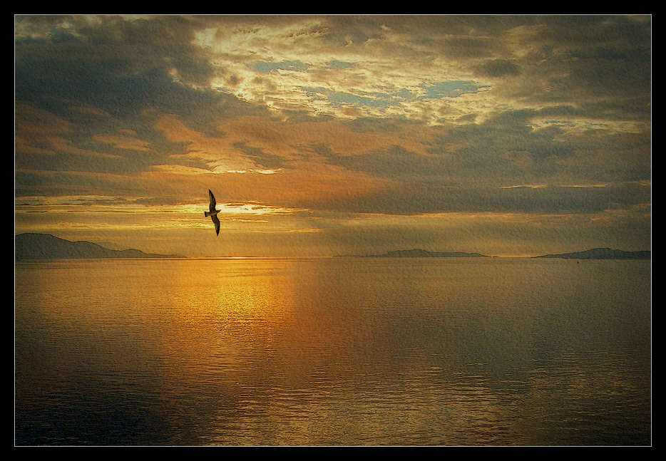 photo "Norway. Gold" tags: landscape, sunset, water